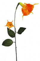 Труба ангела цветок оранжевый (H-130см) HM-31037