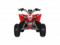 Подростковый квадроцикл Motax E-PENTORA 1500W красный