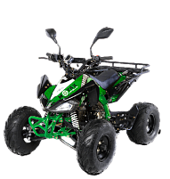 Квадроцикл MOTAX ATV T-Rex-LUX 50 сс черно-зеленый