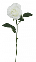 Роза плетистая белая (H-46см) HM-31015