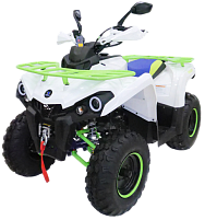 Квадроцикл MOTAX ATV Grizlik 200 New бело-зеленый